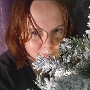 ����������, 41 ���, ���������