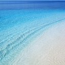 ���� �����, ����, 39 ��� - ��������� 26 ������� 2024 � ������ ���� ����������