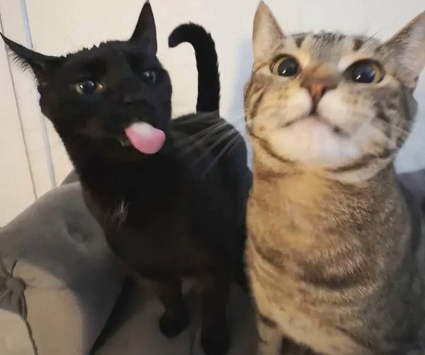 ��, ��� �� ��! - 2