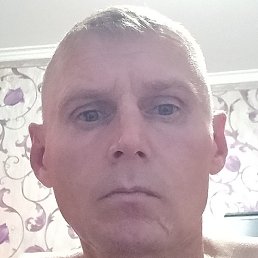 ����, �����-���������, 46 ���