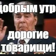 ������� �, 41 ���, ���������