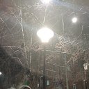 ���� ������, ��������, 44 ���� - ��������� 6 ����� 2024