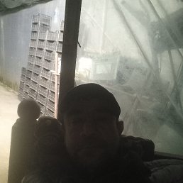 , 51, 