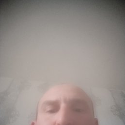 ����, 46 ���, �������