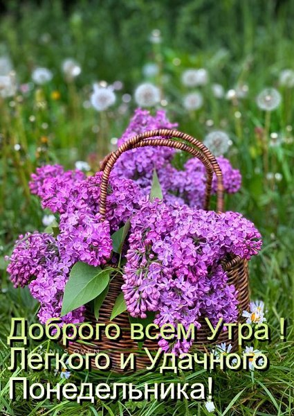   - 27  2024  06:53