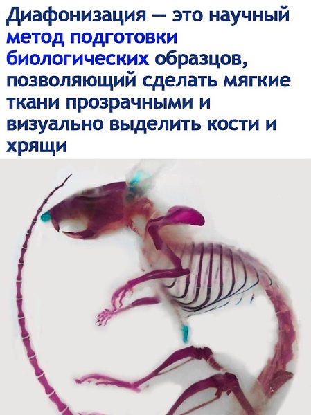 ��a�o���a��� � ��� ����������� ���������� � ���� �����. ��� ������ ����� ��������� � ���������� ...