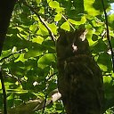 ���� �������, ����������, 50 ��� - ��������� 6 ������� 2025 � ������ ���� ����������