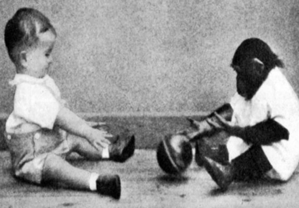 Он взял к себе домой детёныша шимпанзе и решил воспитывать его вместе со своим 10-месячным сыном. Во ... - 3