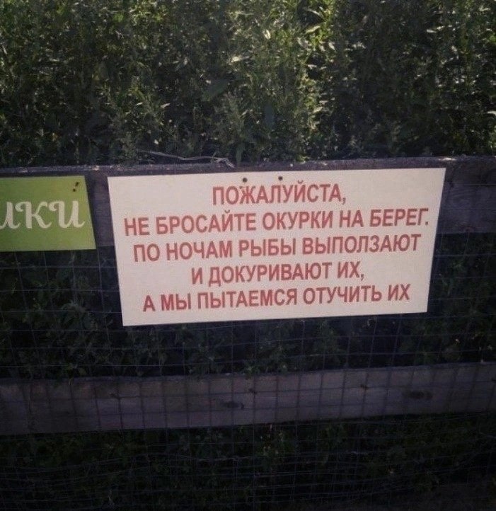 Не бросайте окурки на берег: - Девичник ВКонтакте, №2645236399 ...