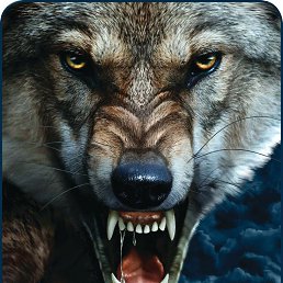 ���� ����, ����-���������, 50 ��� - ��������� 16 ���� 2025