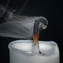 ���� ����, �����-��������� - ��������� 15 ��� 2024 � ������ ���� ����������