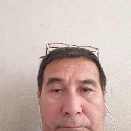 , 52, 