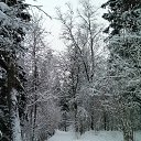 ���� ����, ���������, 47 ��� - ��������� 27 ������� 2025