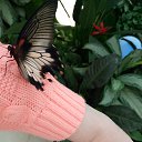 ���� ������, ������ ��������, 40 ��� - ��������� 3 ������� 2024