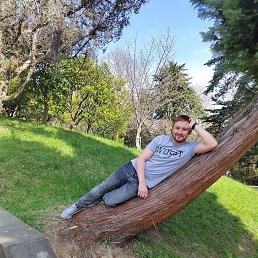 �������, 31 ���, �������������