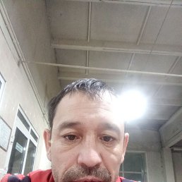 , 40 , 