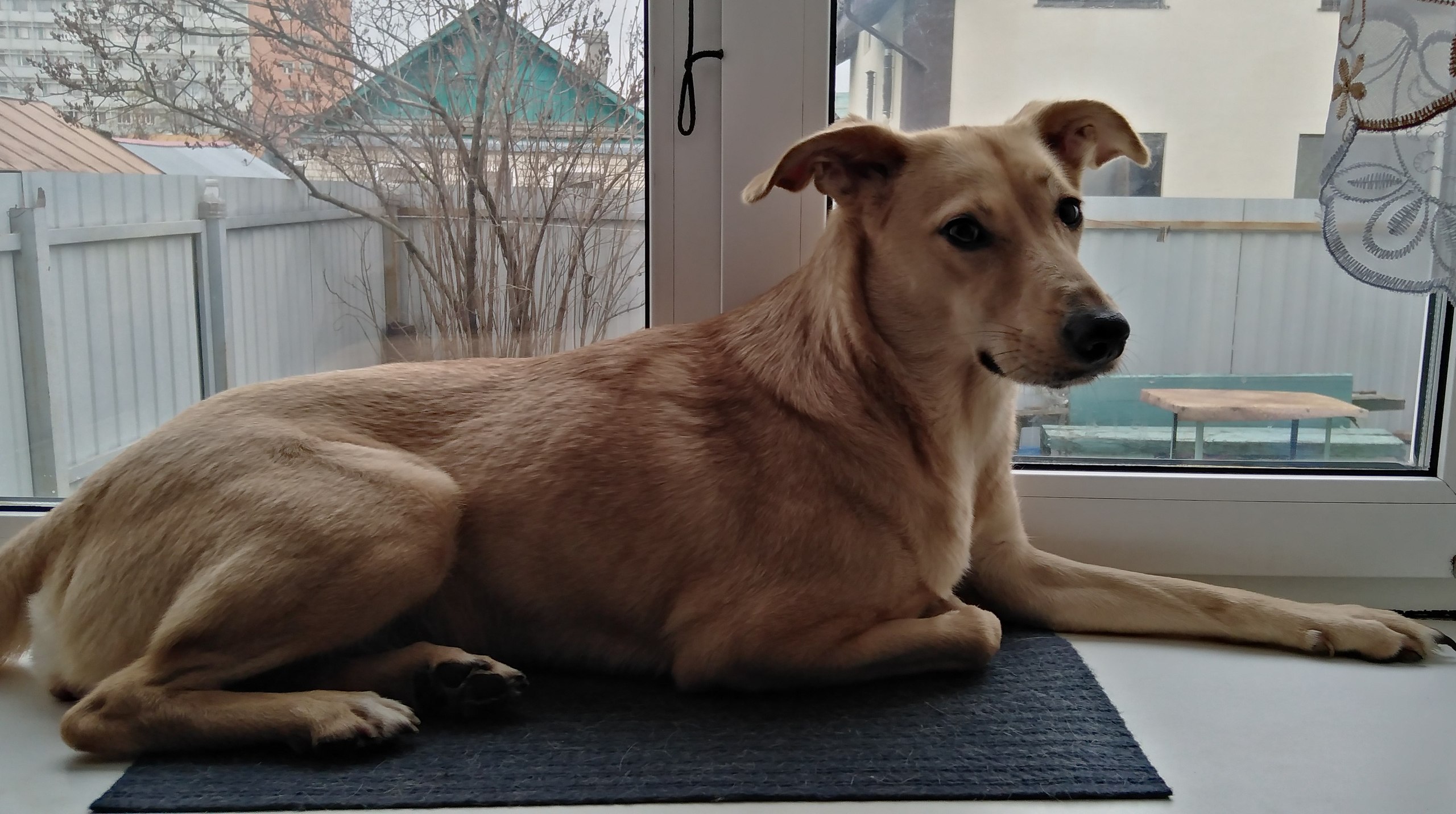 ���� - 28 ������ 2025 � 20:15