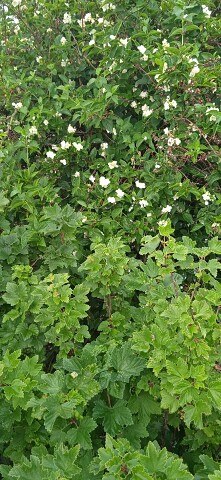 ���� ������, ������������, 50 ��� - ��������� 24 ������� 2023