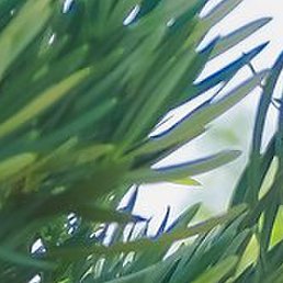 �������, ��������, 28 ���