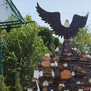 �������, 47 ���, �������