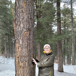 ����, ������, 62 ����