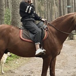 �������, �����-���������, 61 ���