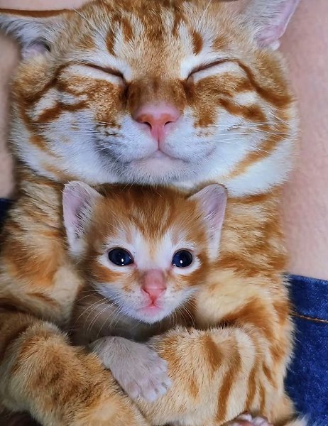 ��� ��� �������� ����� ������������� �������� - 3