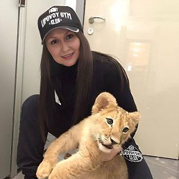 �����, ���������, 43 ����