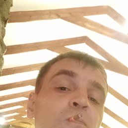 �������, 44 ����, ������