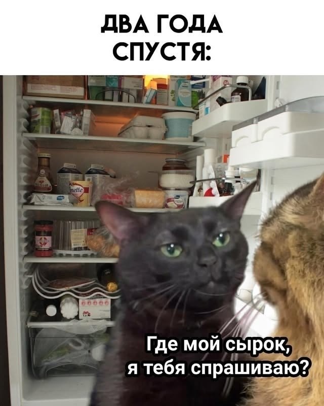 ��� ���� � ����� �� �� - 30 ��� 2026 � 13:25 - 2