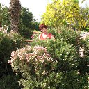 ���� ������, �������� - ��������� 30 ��� 2025 � ������ ���� ����������