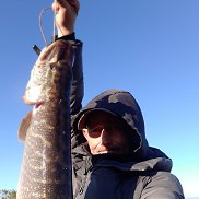 �����, 44 ����, ��������