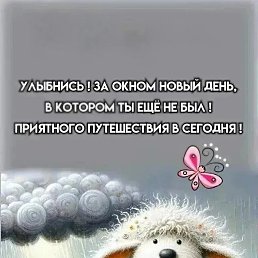 ���� ����, �������, 50 ��� - ��������� 11 ��� 2026