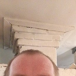 �������, ������, 36 ���