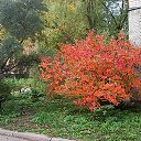 ���� �������, �����-��������� - ��������� 25 ������� 2024 � ������ ��������