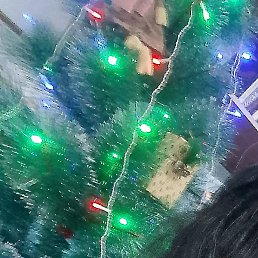 �����, ������, 50 ���