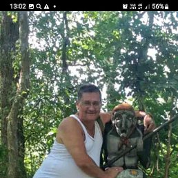  , 64 , -