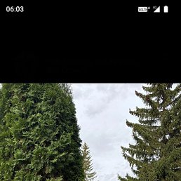 ���� �������, ������, 55 ��� - ��������� 17 ��� 2026