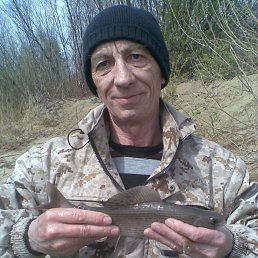 ���� ���������, ��������, 66 ��� - ��������� 14 ������ 2025