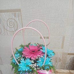 ���� �������, ������, 54 ���� - ��������� 28 ������ 2023