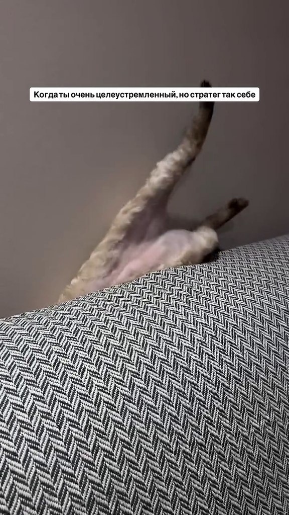 ���������, ��� � ��� � ������ � ����� �������?)