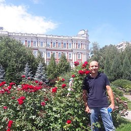 �������� ���������, ����, 45 ���