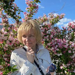 ��������, ������ ��������, 56 ���