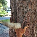 ���� �������, ������ - ��������� 29 ������� 2023 � ������ ���� ����������