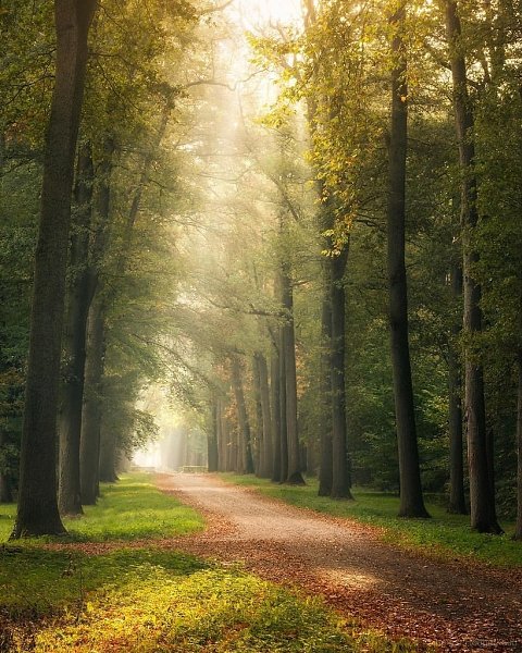 ������ �� ������ ���. ���� �� ���-�� ���������, ������ � ��� ���������� ������ ����� �����, �� ��� ... - 5