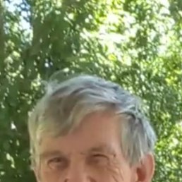 �������, 65 ���, ���������