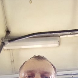 , , 44 