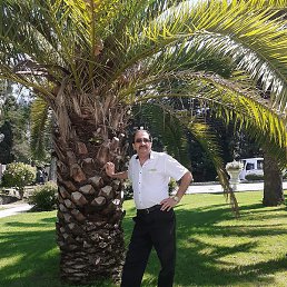 ������, ����, 64 ����