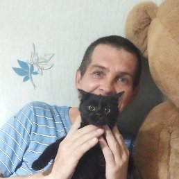 , 46, 