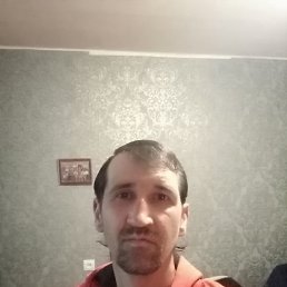 ������, 39 ���, ����